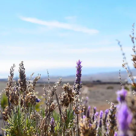 Casa Amanecer Iii Apartamento Tías