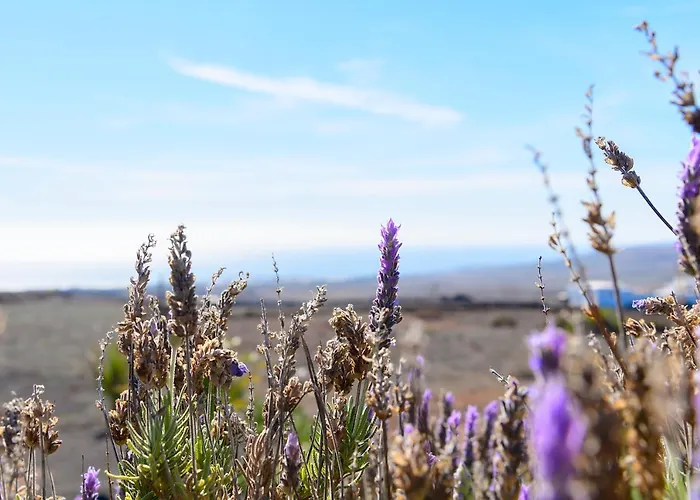 Casa Amanecer Iii Lägenhet Tías